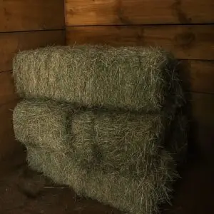 Fardo-de-Pasto-Seco-Tradicional-Alta-Calidad